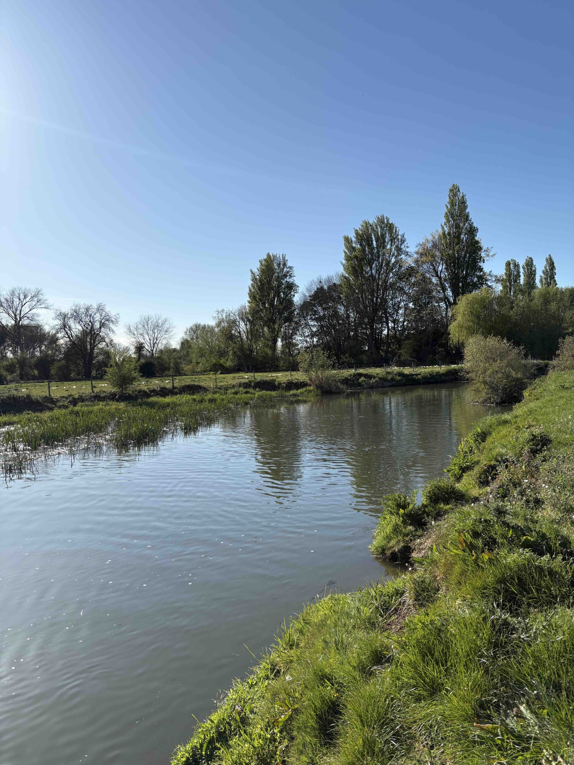 Green grassy banks on the River Thames near Lechlade