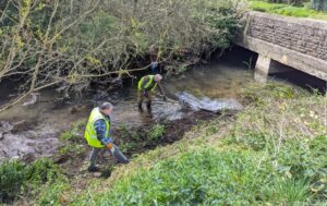 Volunteers in the river clearing litter